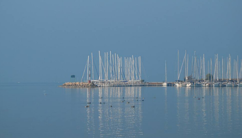 進(jìn)口報(bào)關(guān)公司