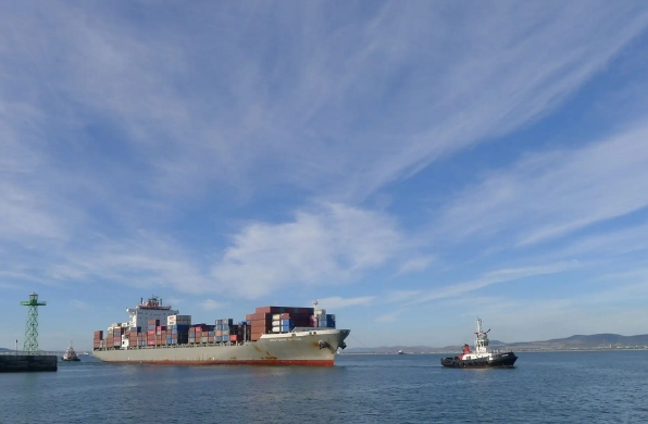 國內海運公司在全球化時代具有重要的地位和作用，面臨著挑戰和機遇